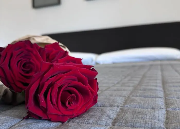 Appartamento Mediterranea Aurora Assemini